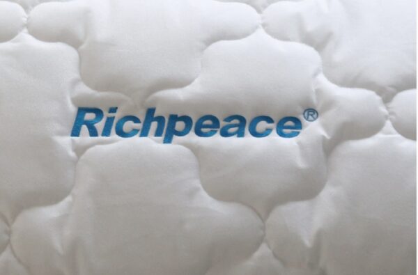 Richpeace Computerized Mattress Border Embroidery Machine - Image 3